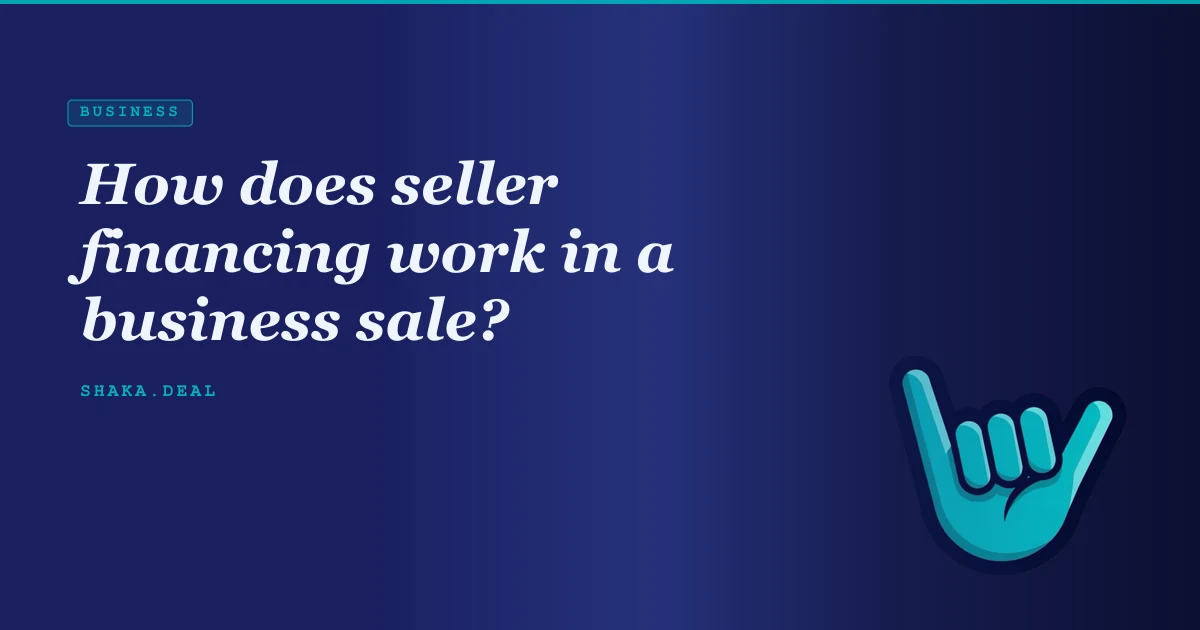 How does seller financing work in a business sale?